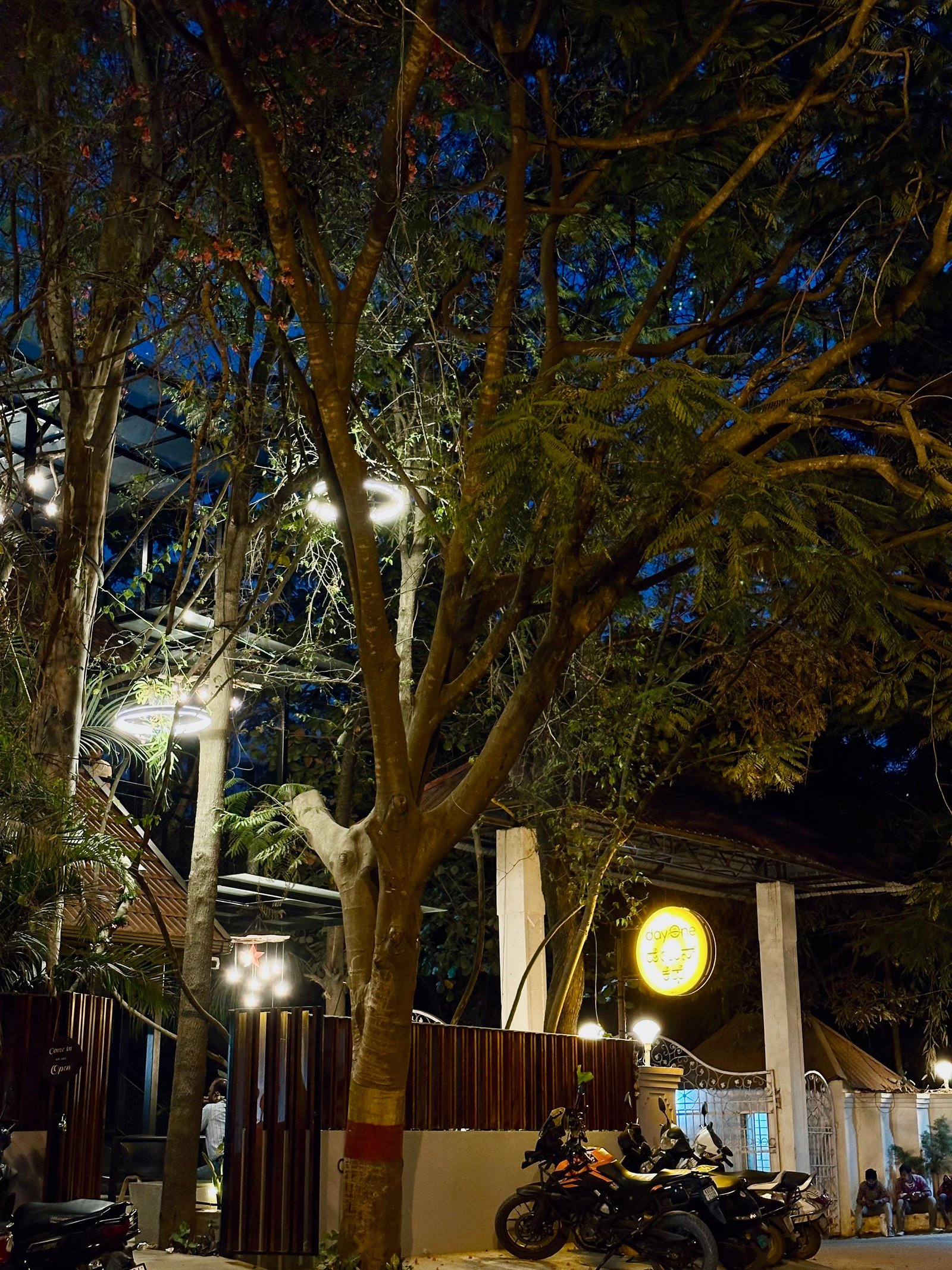 DayOne Suites grounds — trees and the cafe at night